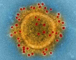 Koronavirus-hatásainak-elemzese